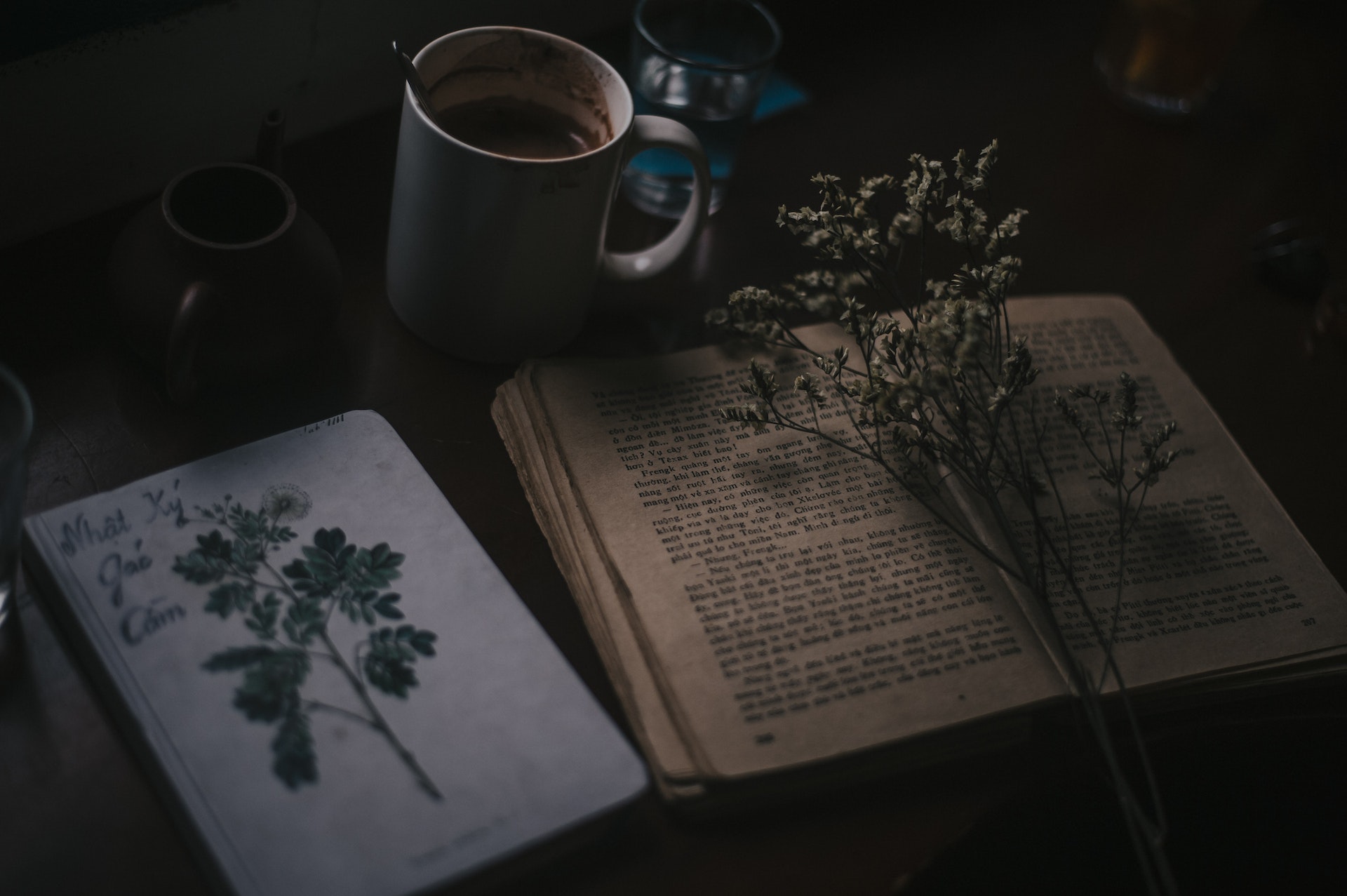 an open book next to a cup of coffee and a botanical drawing